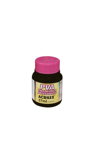 TINTA PVA FOSCA ARTESANATO PRETO 520